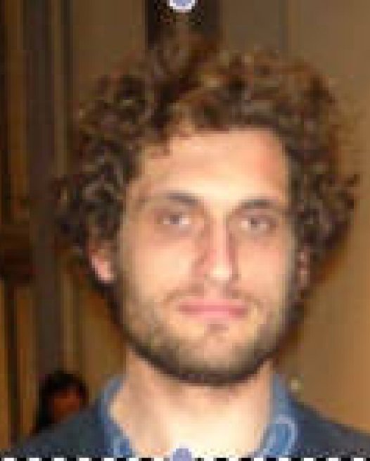 Tommaso Bertani
