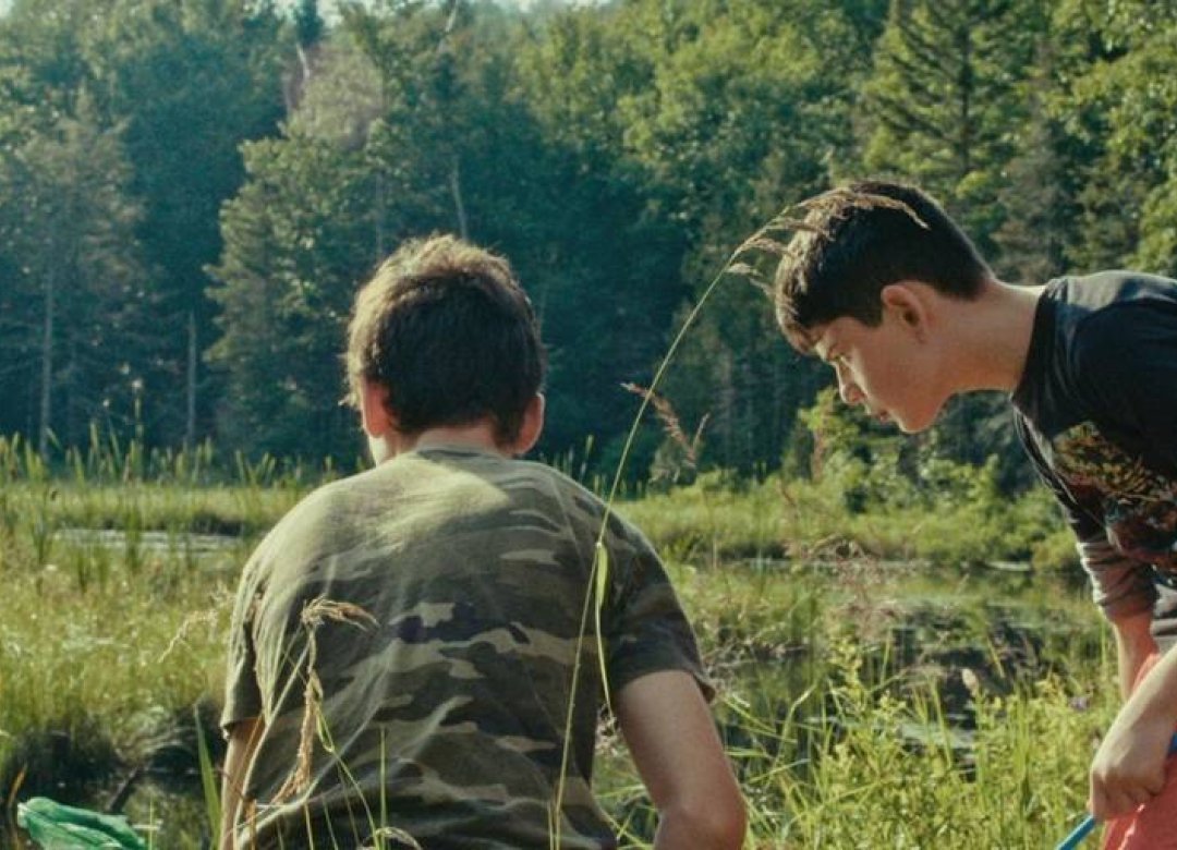 Oasis