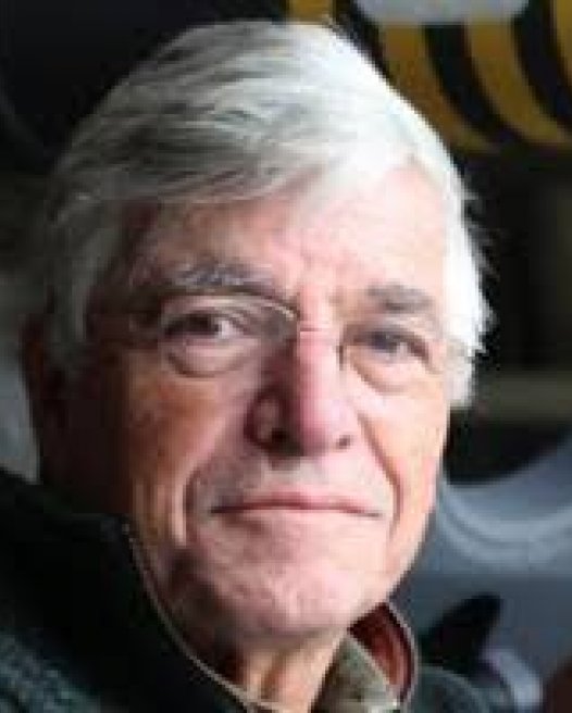 Dan Dimancescu