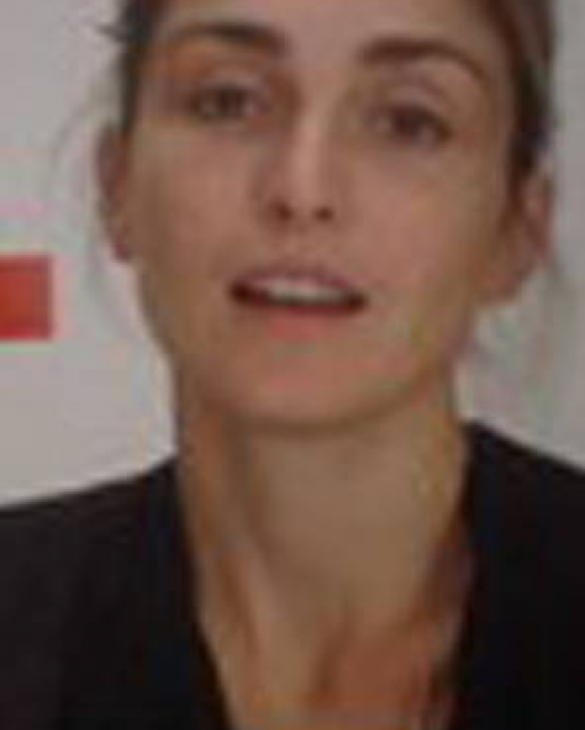 Julie Gayet