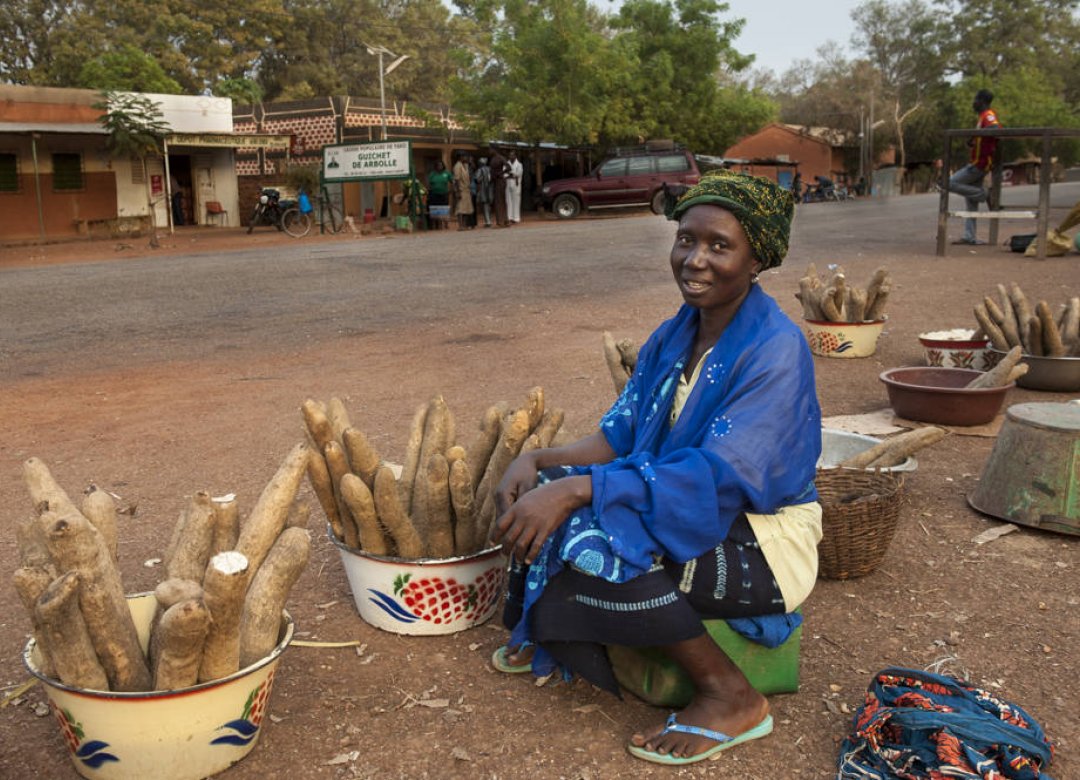 Burkinabè Bounty: agroecology in Burkina Faso