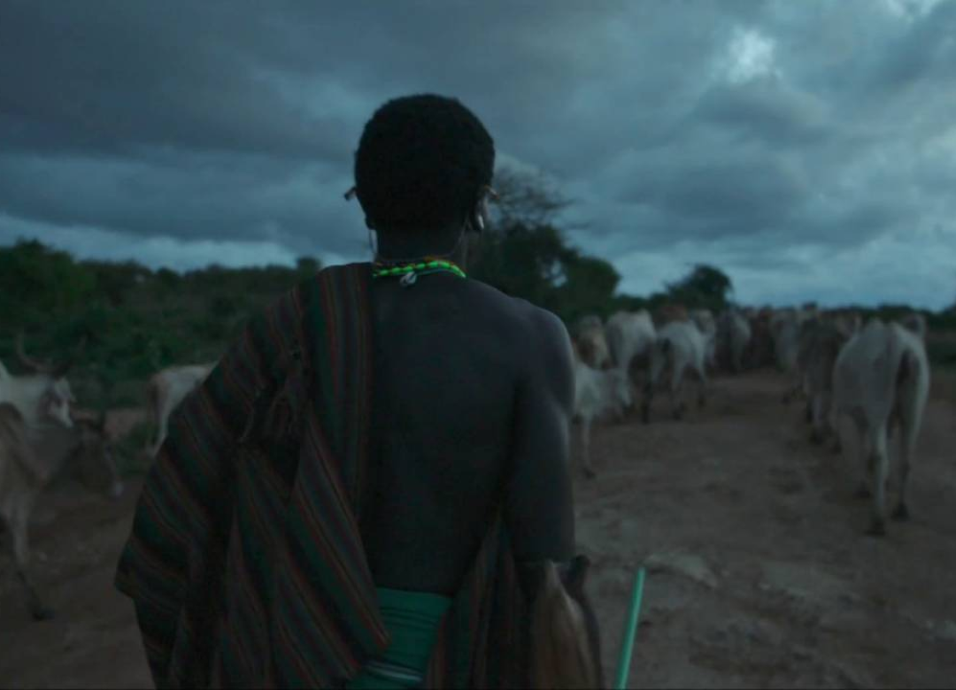 The Battle for Laikipia