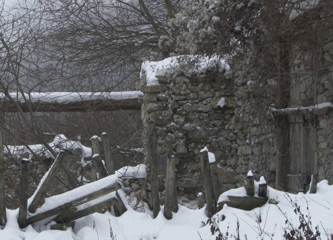 The New Wild: Life in the Abandoned Lands