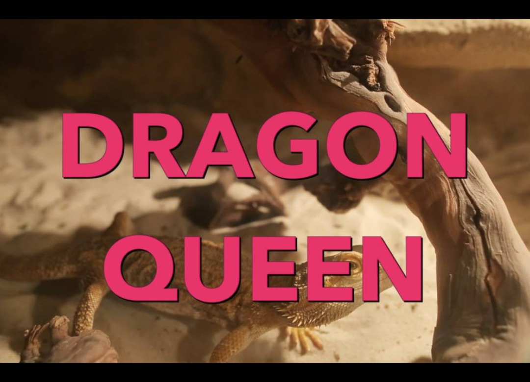Dragon Queen