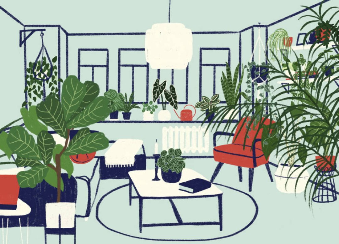 Urban Jungle – The Housplants Take Up Space!